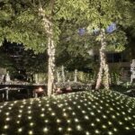 光の祭典に包まれたインドで —— 大人の出張と滞在記